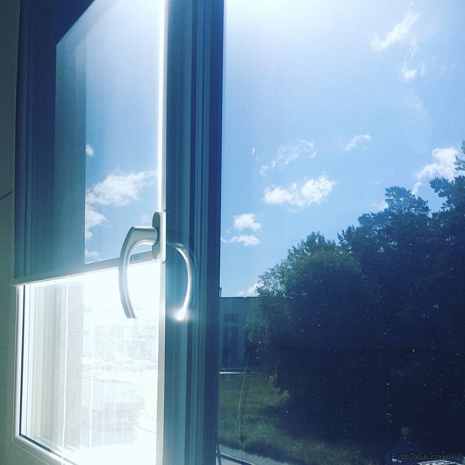 Window with solar roller blinds